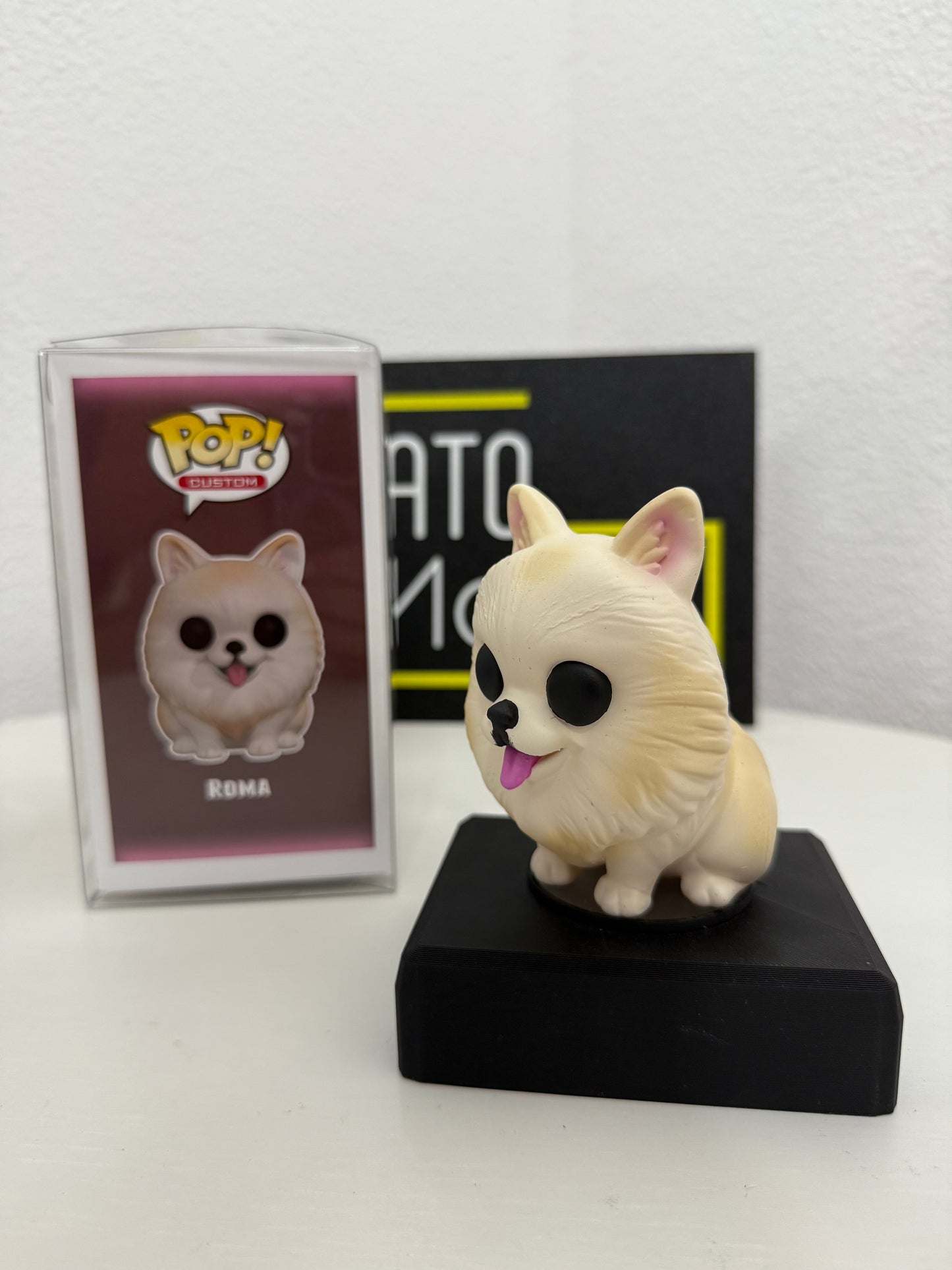 Roma Pop